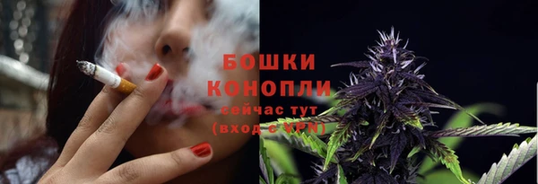 прущие крисы Вяземский