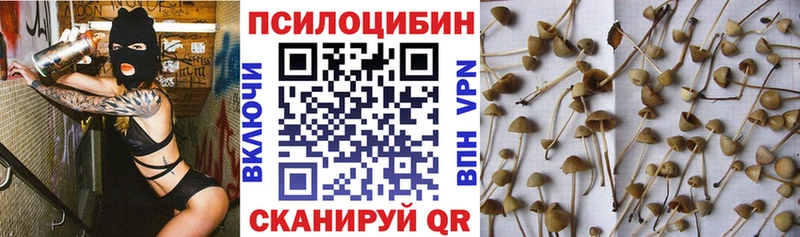 мега ссылки  Заволжье  Псилоцибиновые грибы прущие грибы 